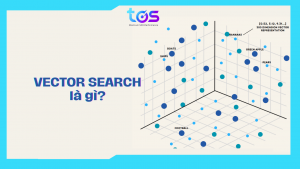 Vector search là gì? vector là gì