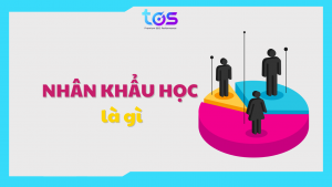nhân khẩu học là gì