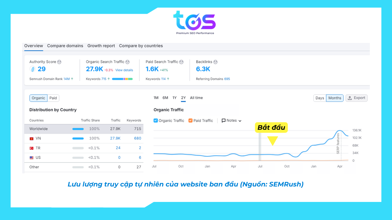 case study dịch vụ seo overview