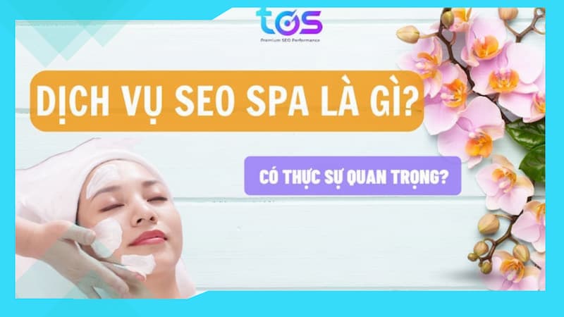 seo spa