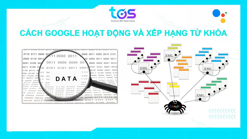 cách google hoạt động để xếp hạng website
