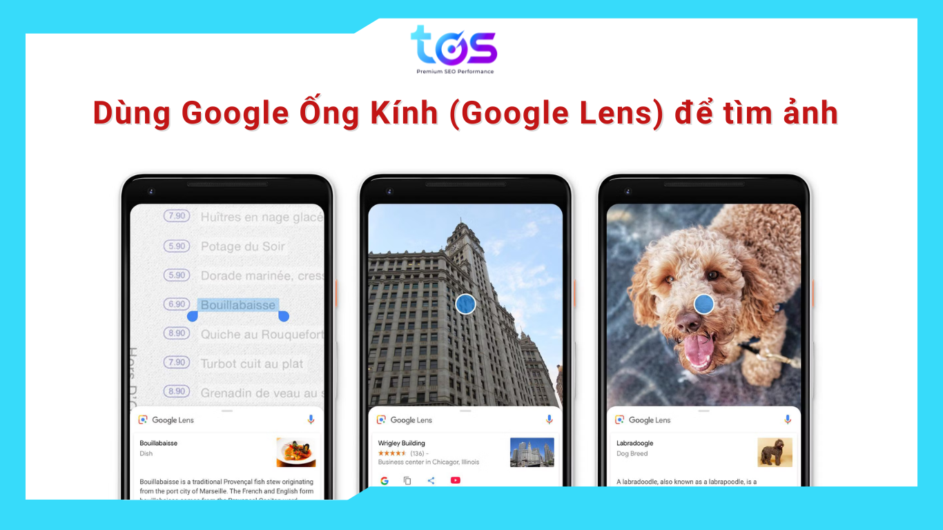 Dùng Google Ống Kính (Google Lens) để tìm ảnh