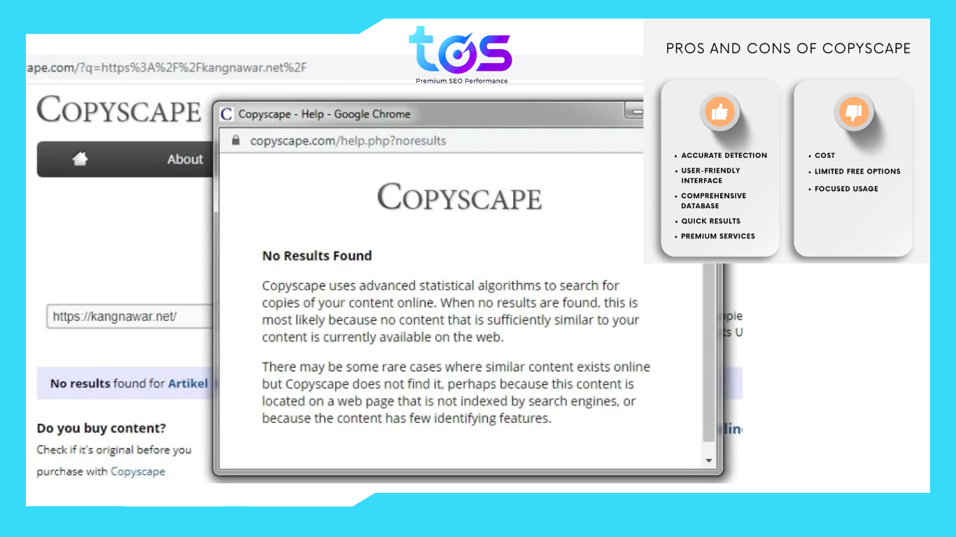 phần mềm seo website