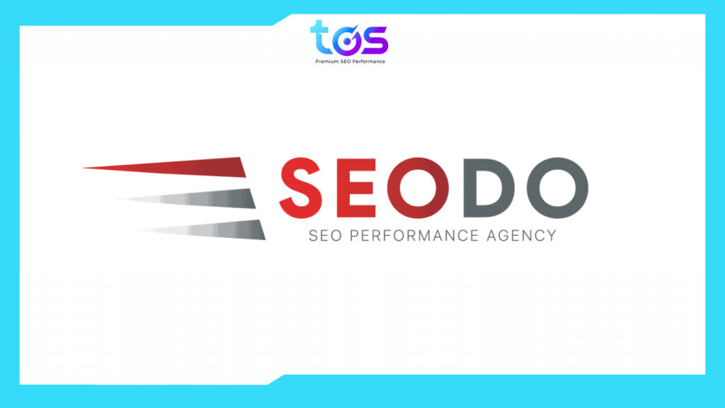 logo của seo agency uy tín seodo