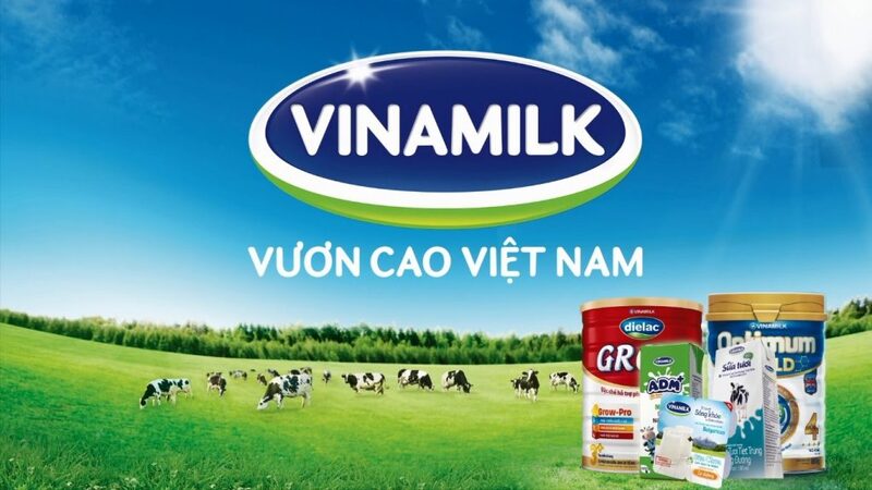ví dụ phân khúc thị trường vinamilk